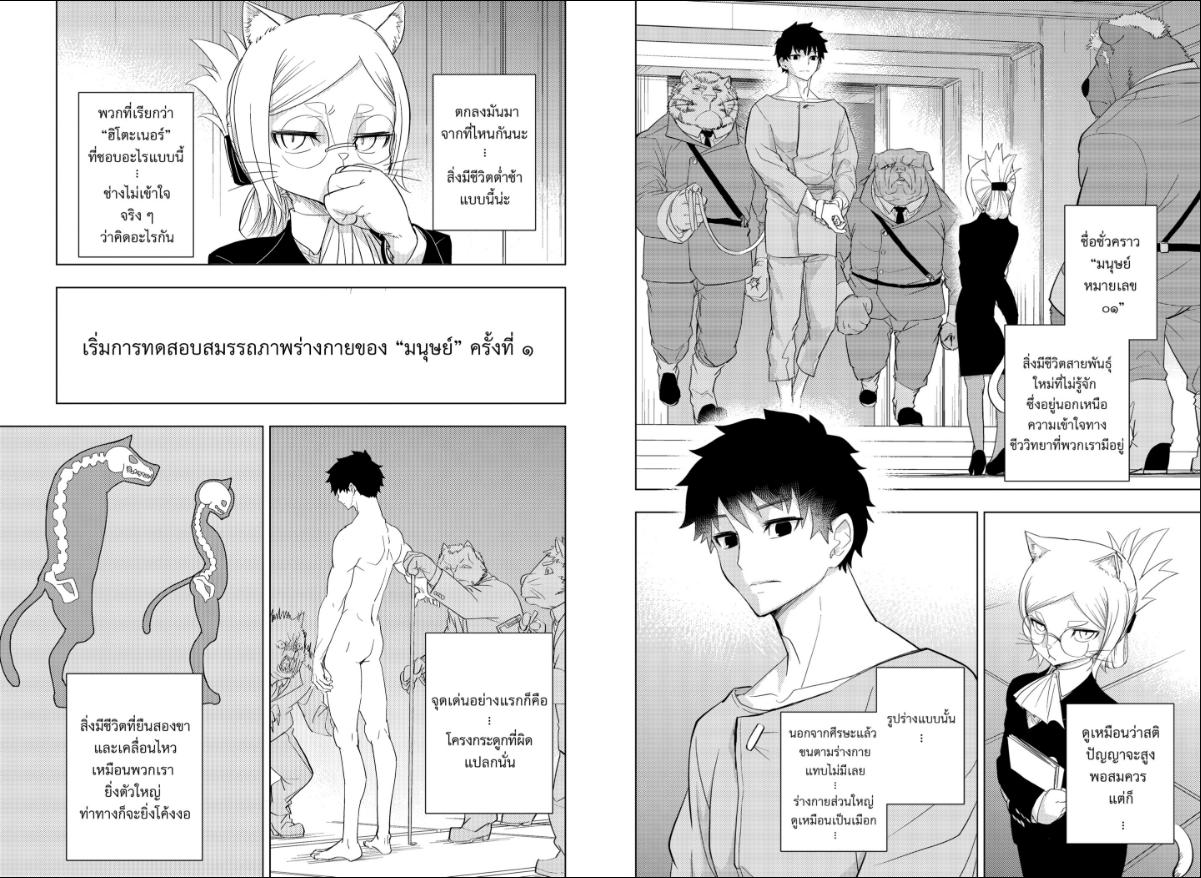 Hitoner ตอนที่ 1 หน้า 4 แปลไทย