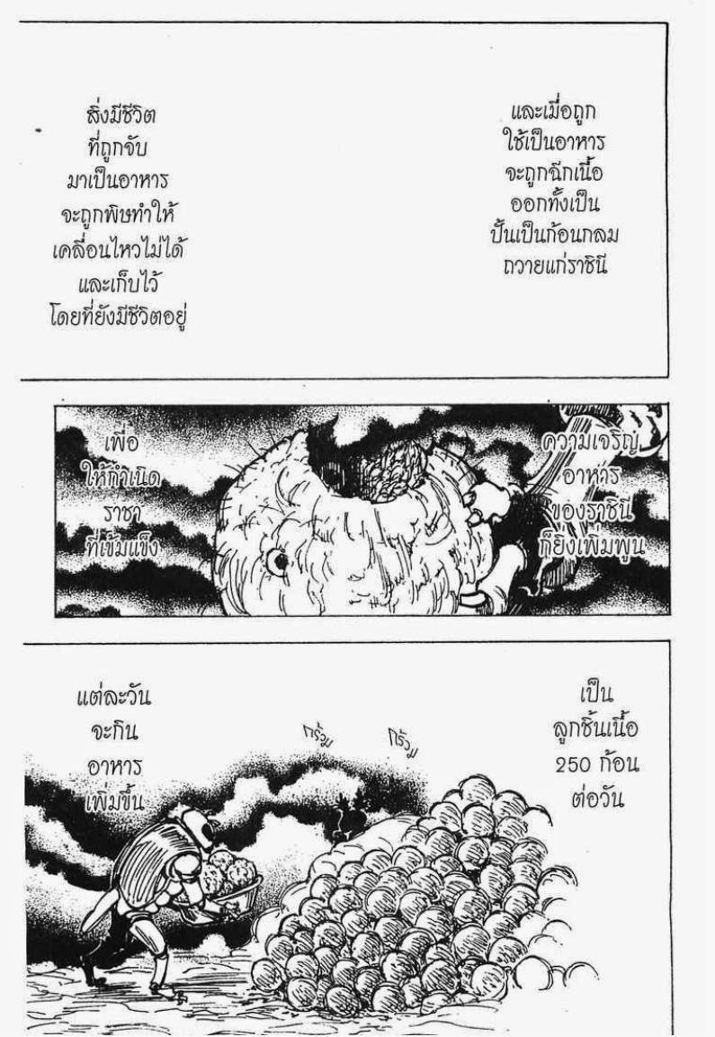 Hunter x Hunter ตอนที่ 197 หน้า 11 แปลไทย